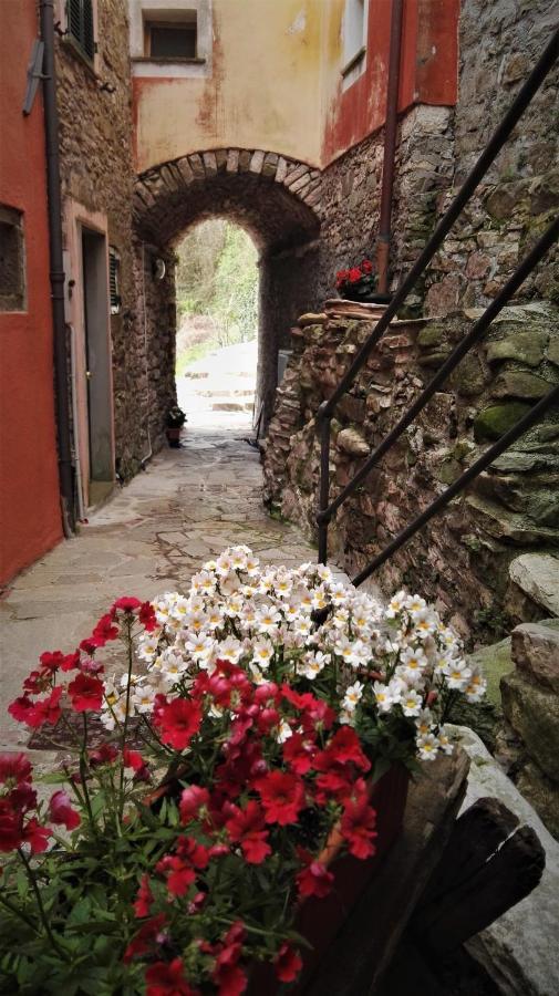 Borgo Di Codeglia - Country Rooms Riccò del Golfo di Spezia Exteriör bild