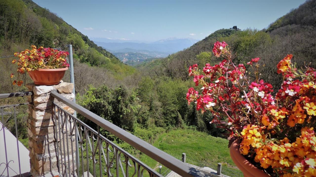 Borgo Di Codeglia - Country Rooms Riccò del Golfo di Spezia Exteriör bild